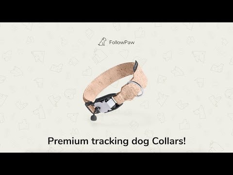 FollowPaw AirTag Dog Collar gallery image