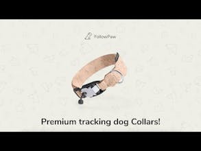 FollowPaw AirTag Dog Collar gallery image