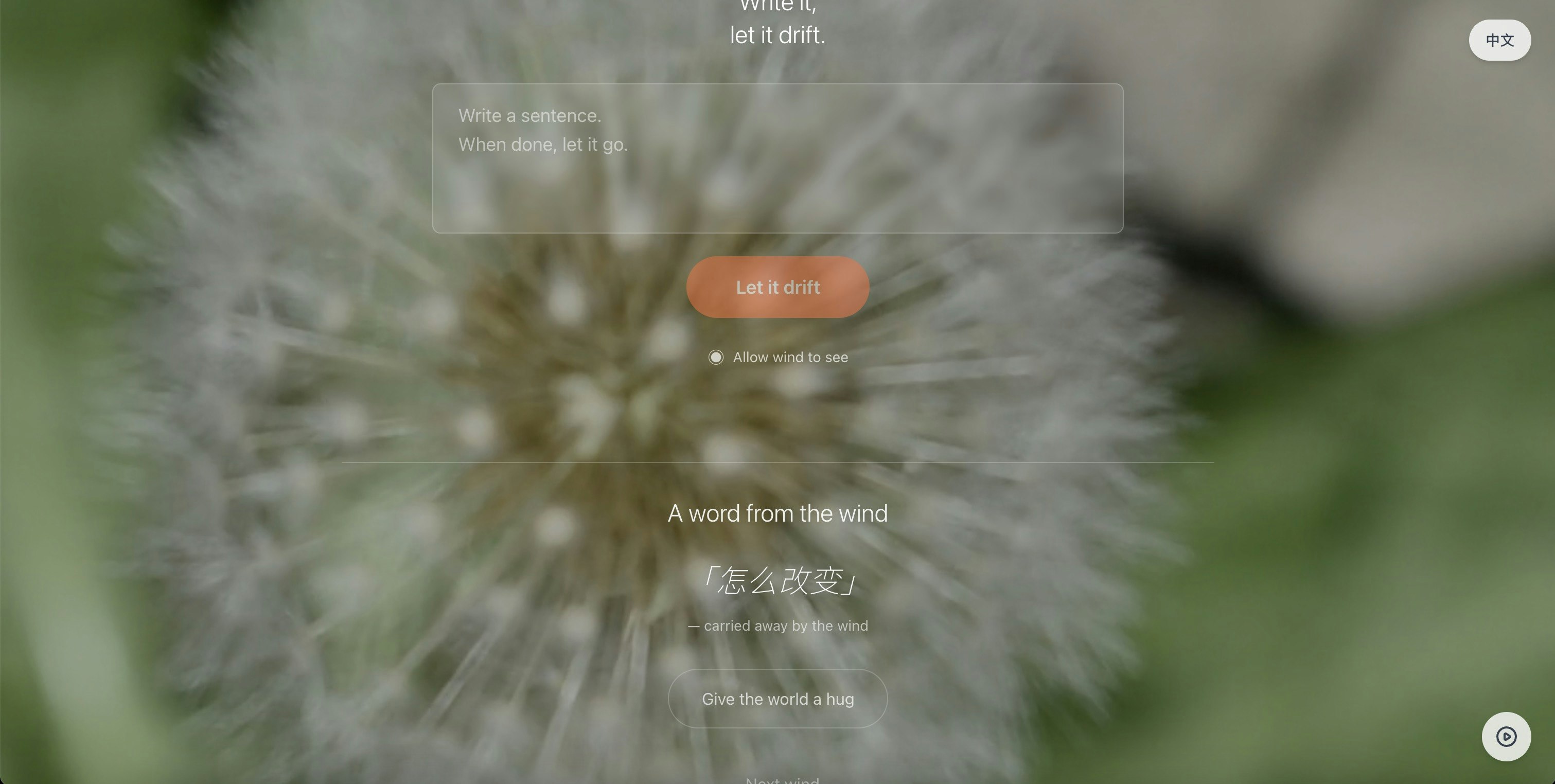 蒲公英｜匿名写下一句话的地方 gallery image