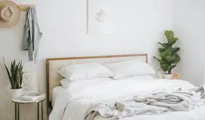 Parachute Home gallery image