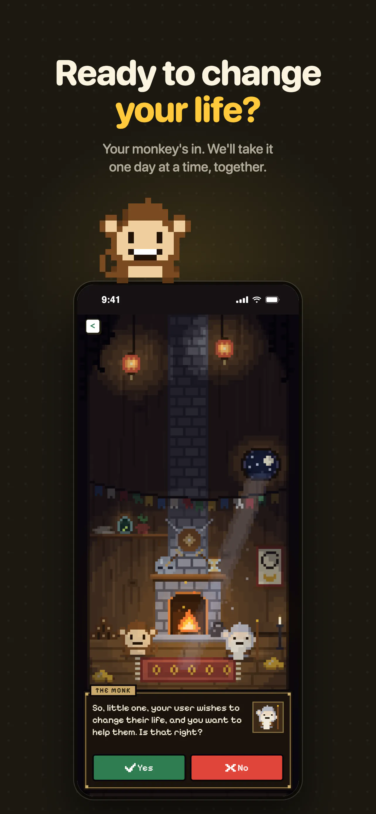 Backmonkey gallery image
