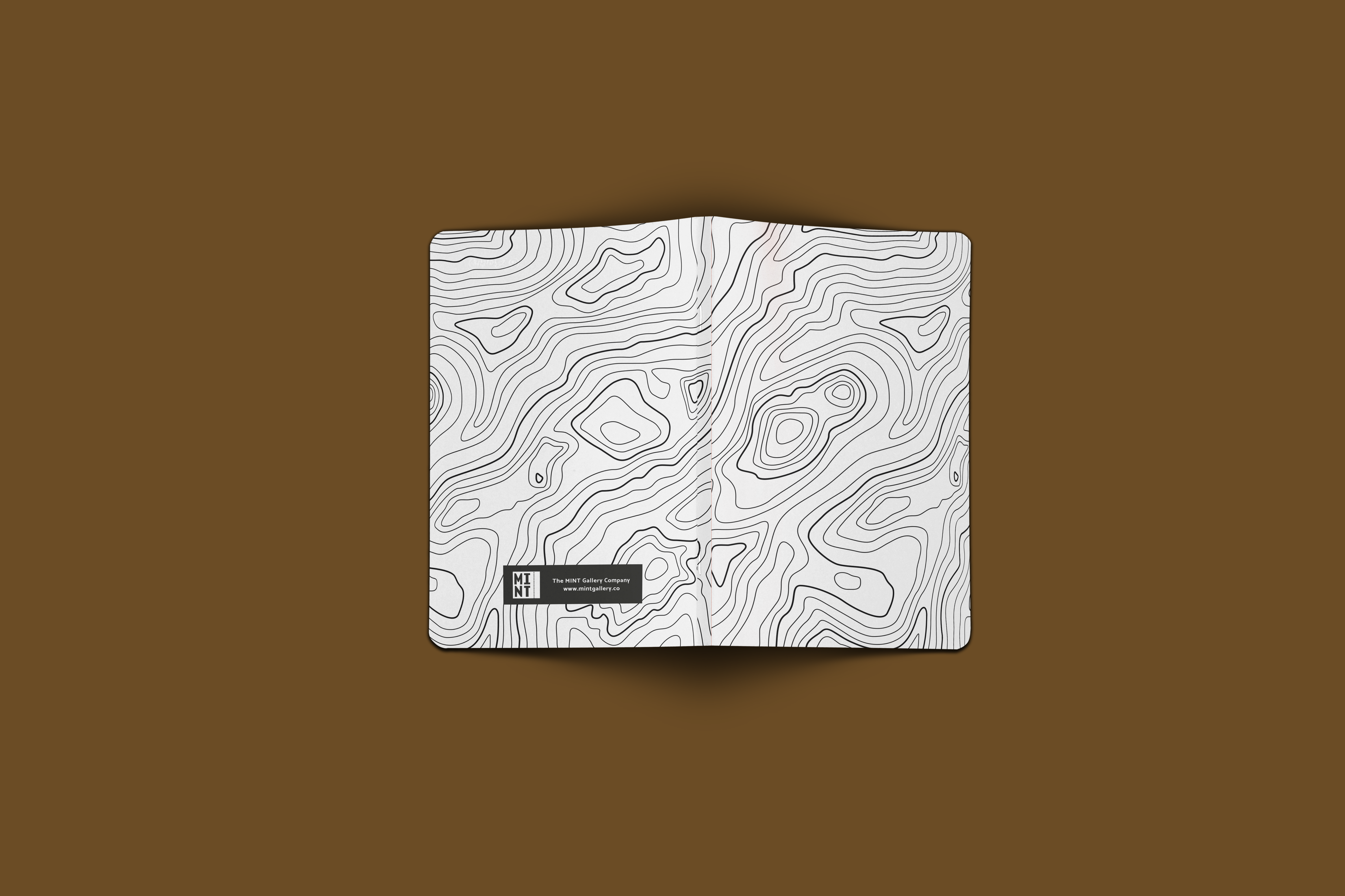 The MINT Gallery Company gallery image