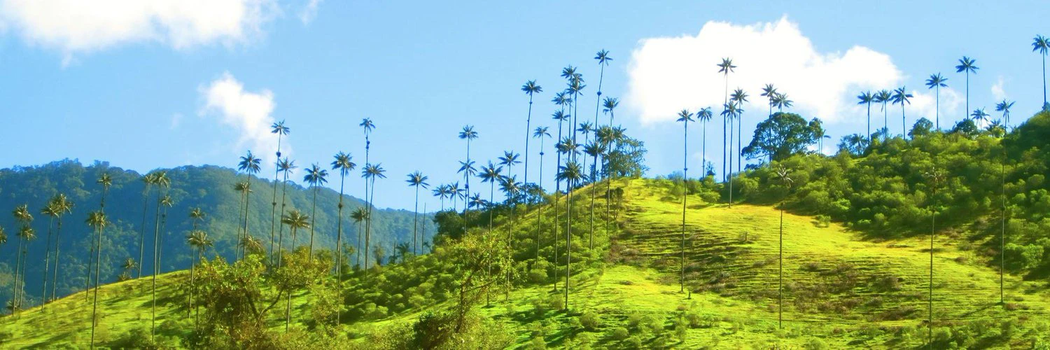 Brandon Ramirez cover