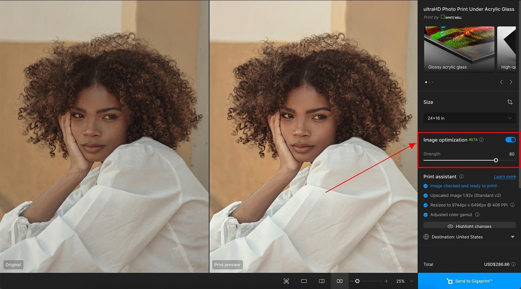 Gigapixel v8.3.0 - Het snelste diffusiemodel voor High-Res Image Restoration media 6