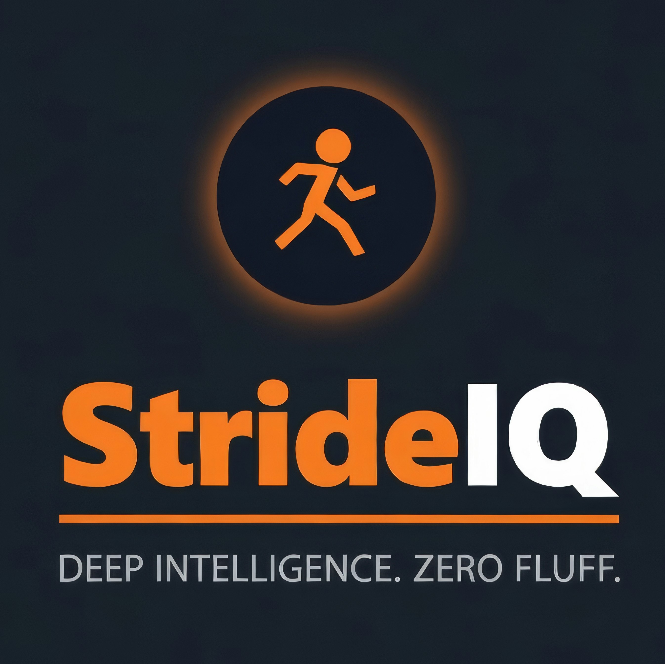 StrideIQ gallery image