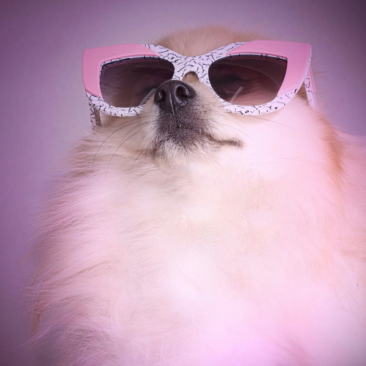 Fashion Tap gallery image