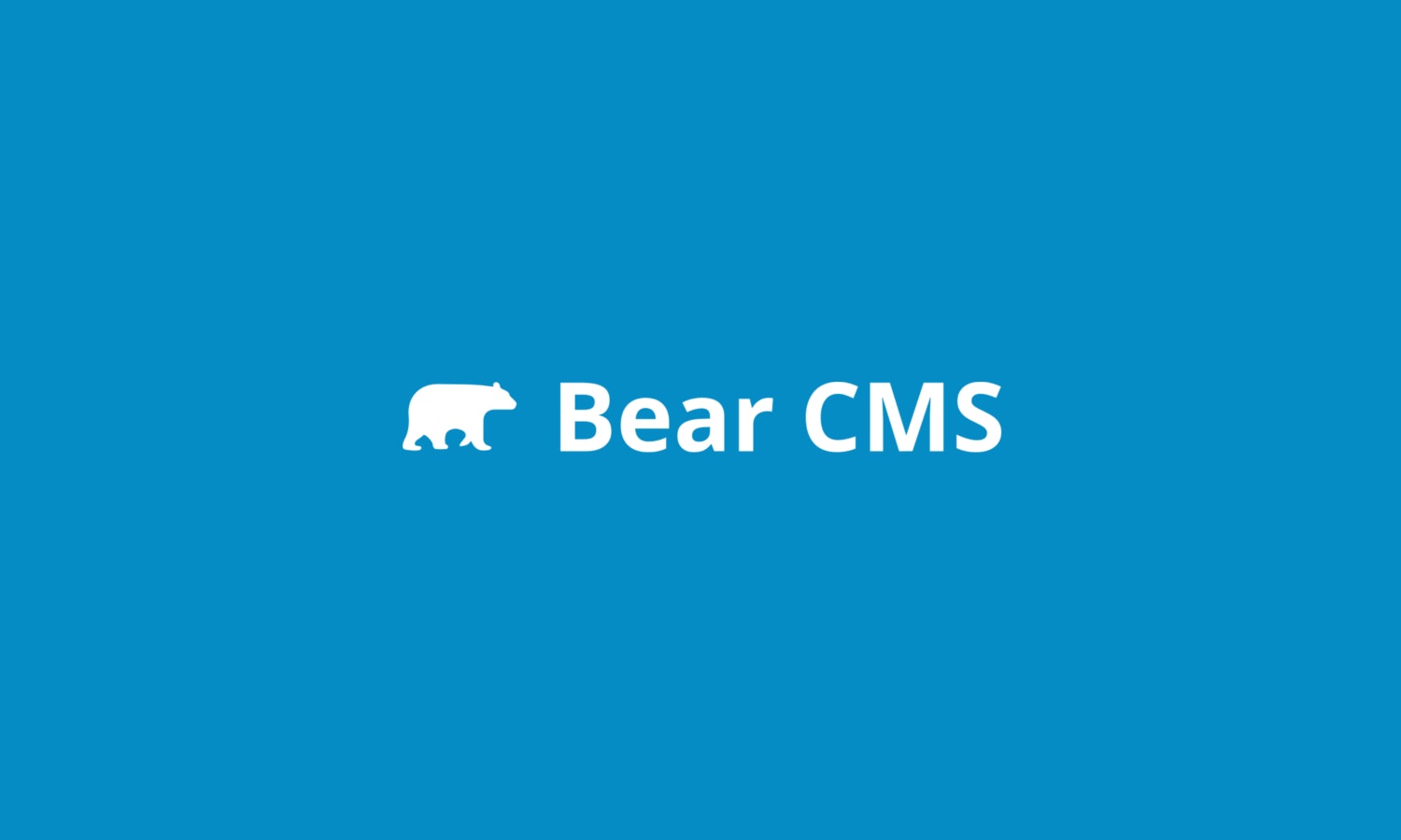 Bear CMS gallery image