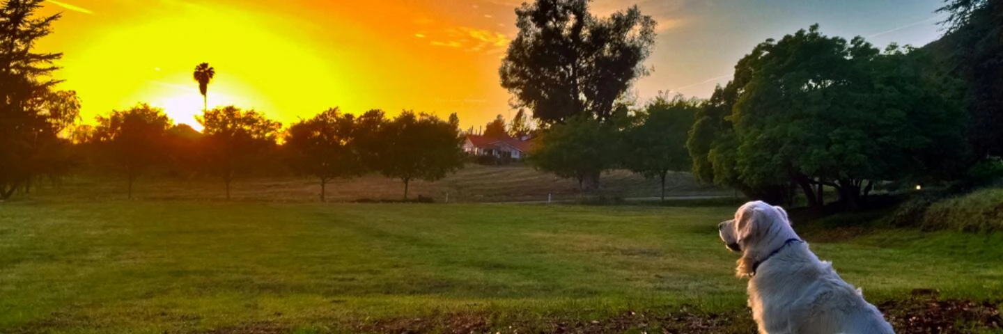 Dhanur Grandhi cover