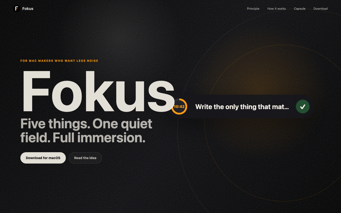 Fokus gallery image