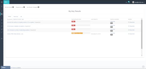 Corvisio OKR gallery image