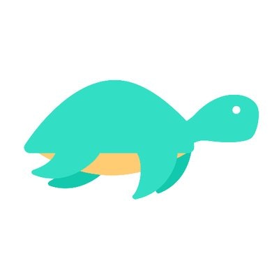 Turtle BETA