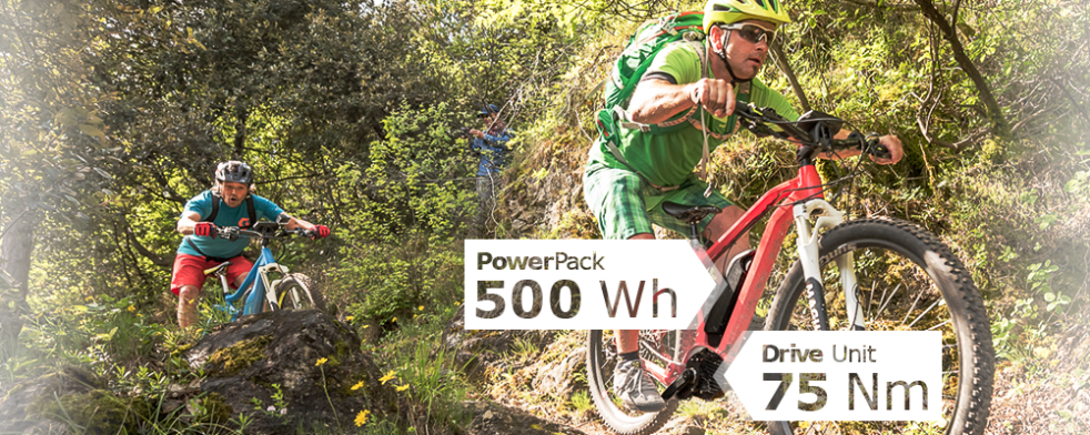 Bosch e-bikes