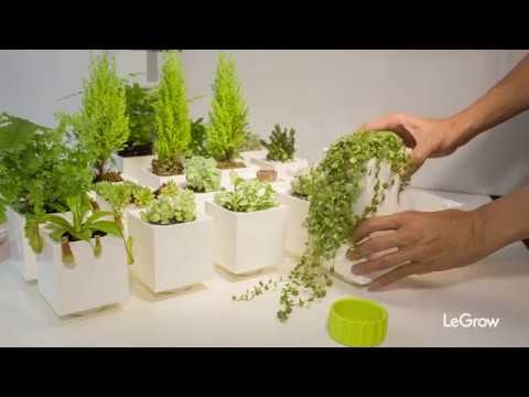 LeGrow gallery image