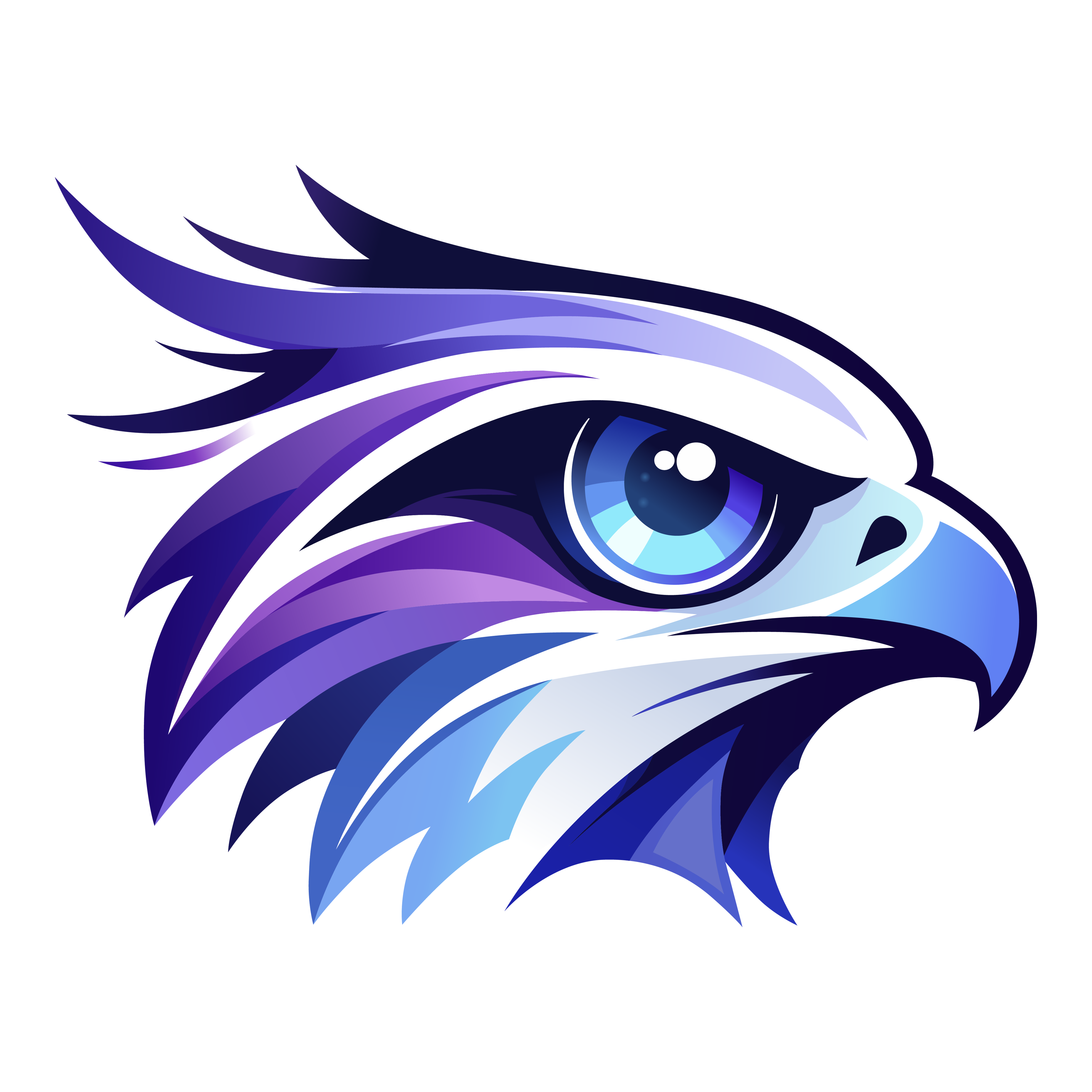 HawkView