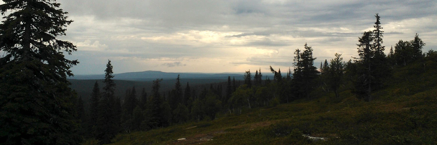 Kristian Ranta cover