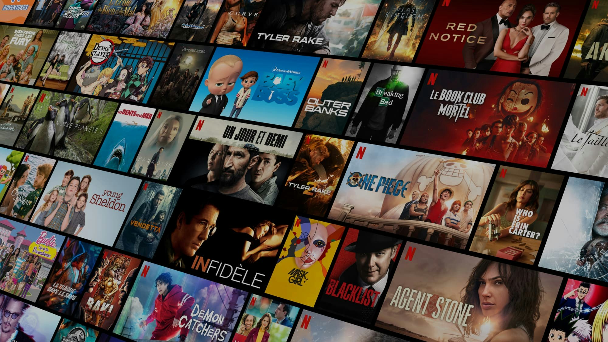 jungleiptv media 1