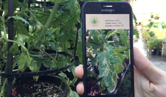 Kindbot Buddy gallery image