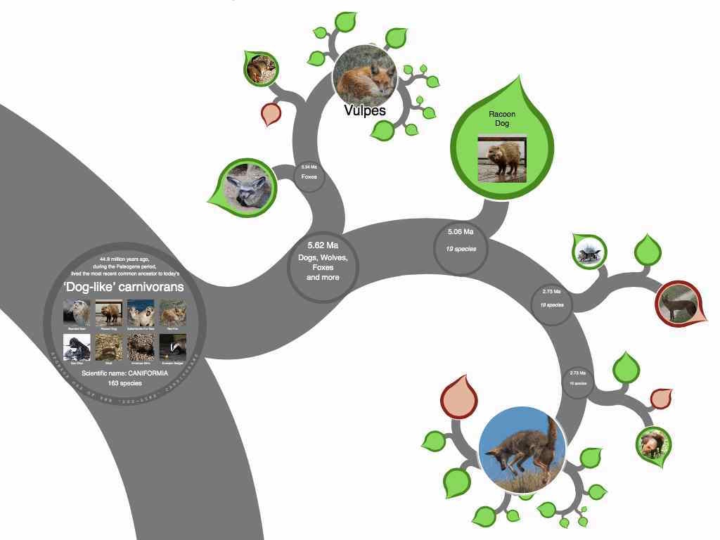 The Tree of Life gallery image