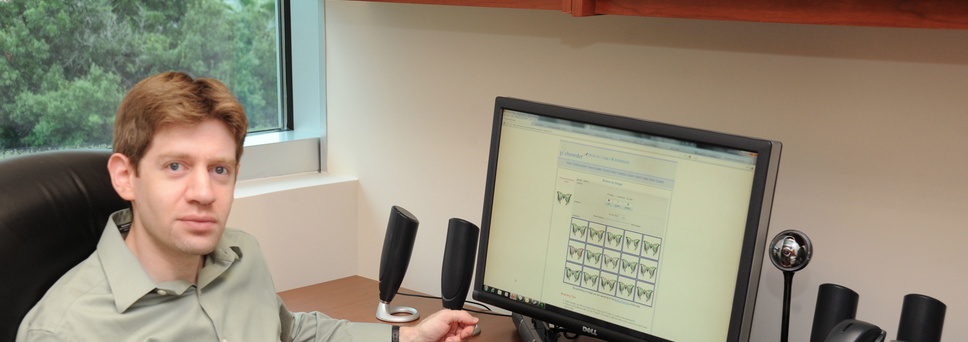 Why Greatness Cannot Be Planned gallery image