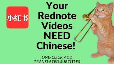 Video One-Click Translation gallery image