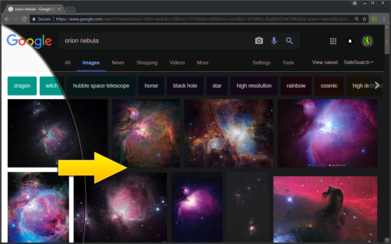 Midnight Lizard gallery image