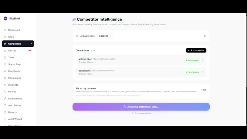 SiteBrief screenshot 1 (video preview)