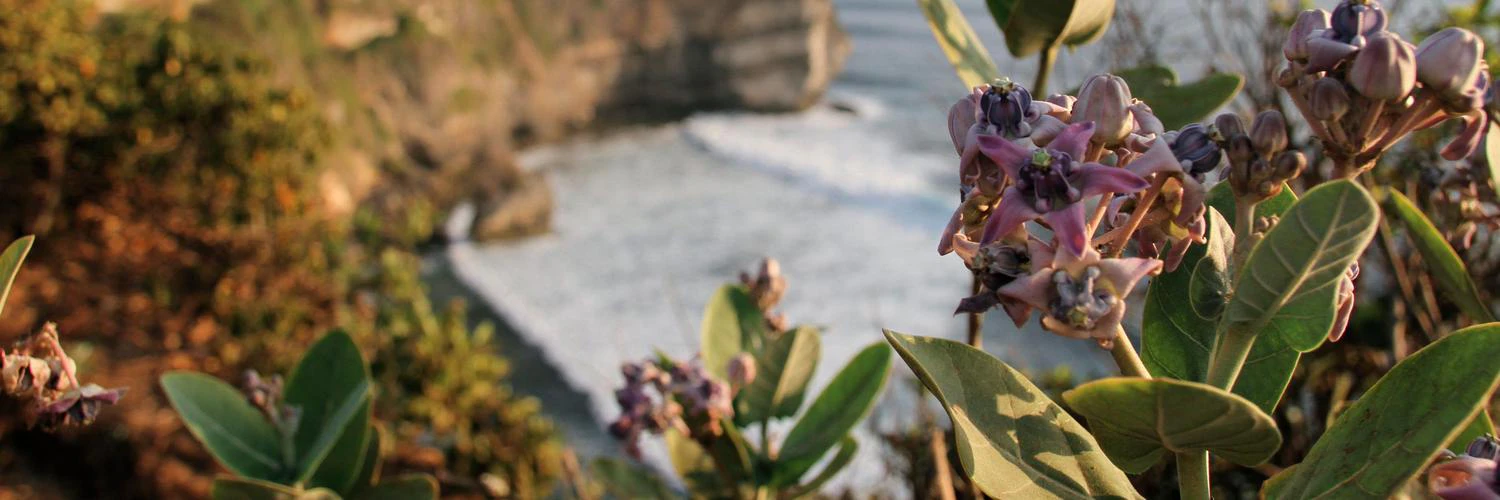 Marta Olszewska cover