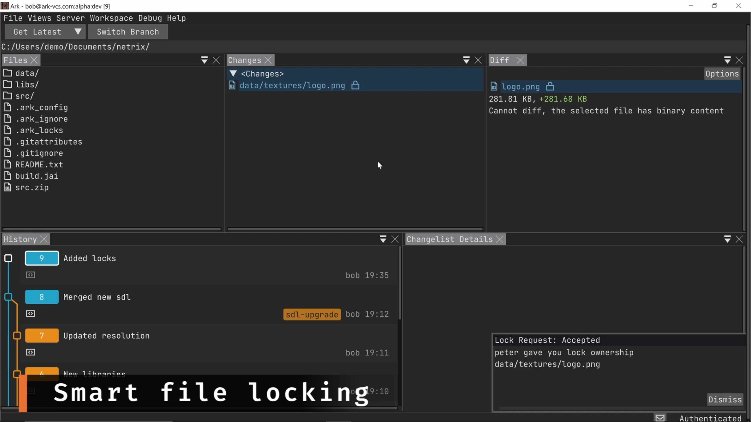 Ark VCS gallery image