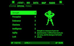 Fallout Pip-Boy media 3