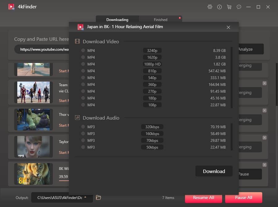 4kFinder Video Downloader media 2