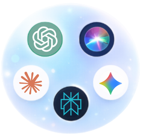 Vizibly.ai gallery image