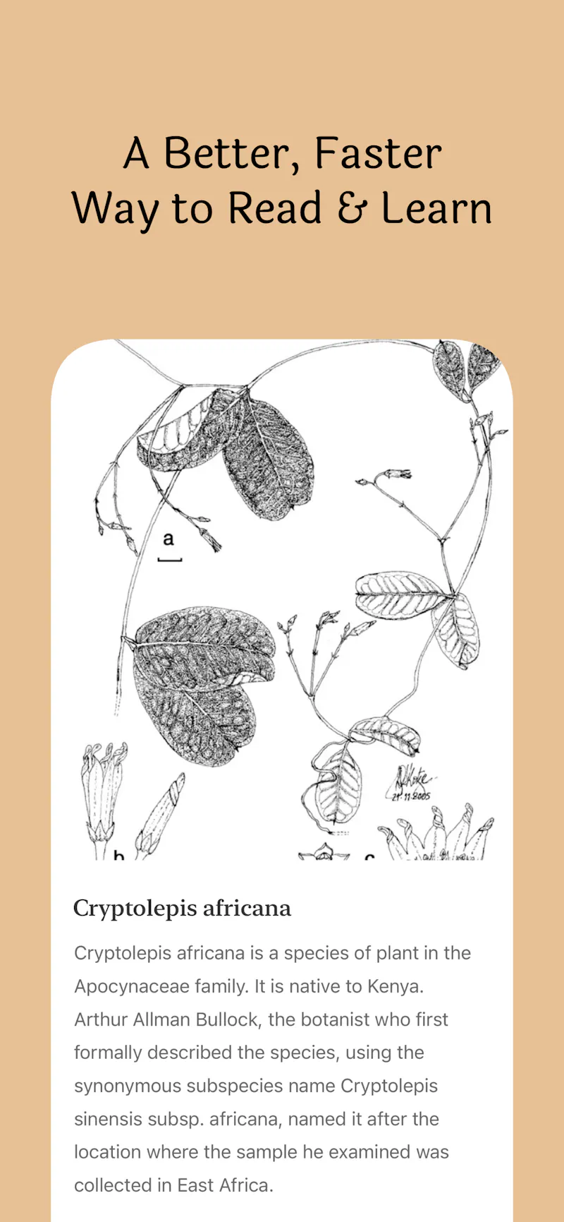 WikiNow screenshot 2