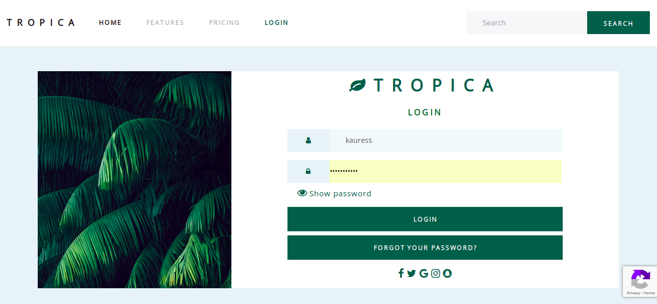  Plug -n- Play Signups & Login for devs gallery image