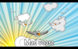 Mad Goose media 1