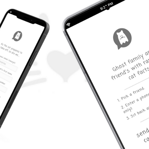 GhostCat gallery image