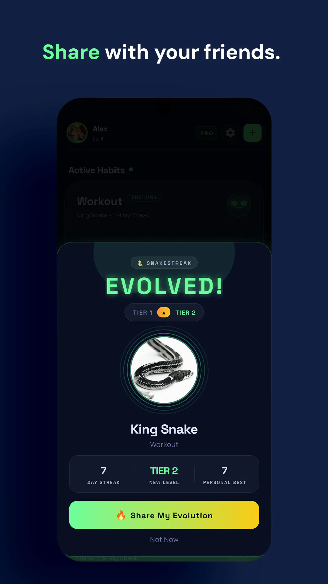 SnakeStreak gallery image