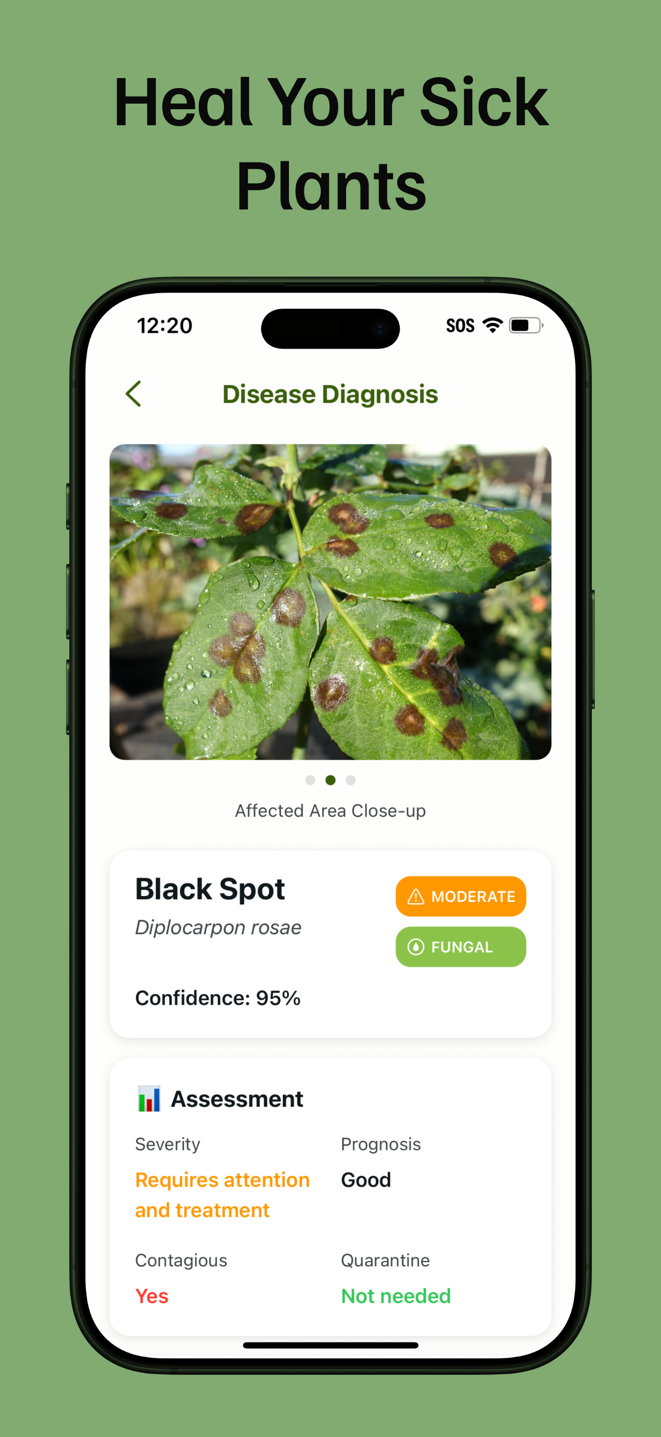 PlantLore media 4