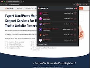 WPoptic gallery image