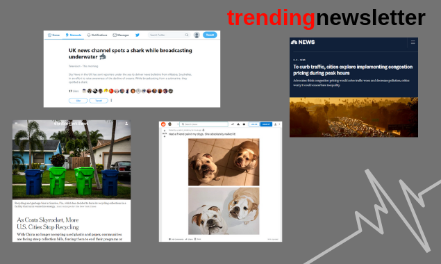 Trending Newsletter gallery image