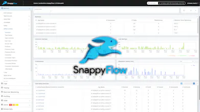SnappyFlow gallery image