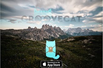Groovecat - App for Music Moments gallery image