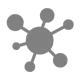 Network as a Prompt