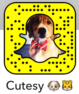 Cutesy gallery image