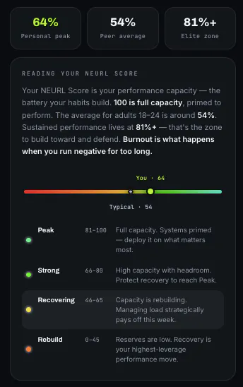 NEURL gallery image