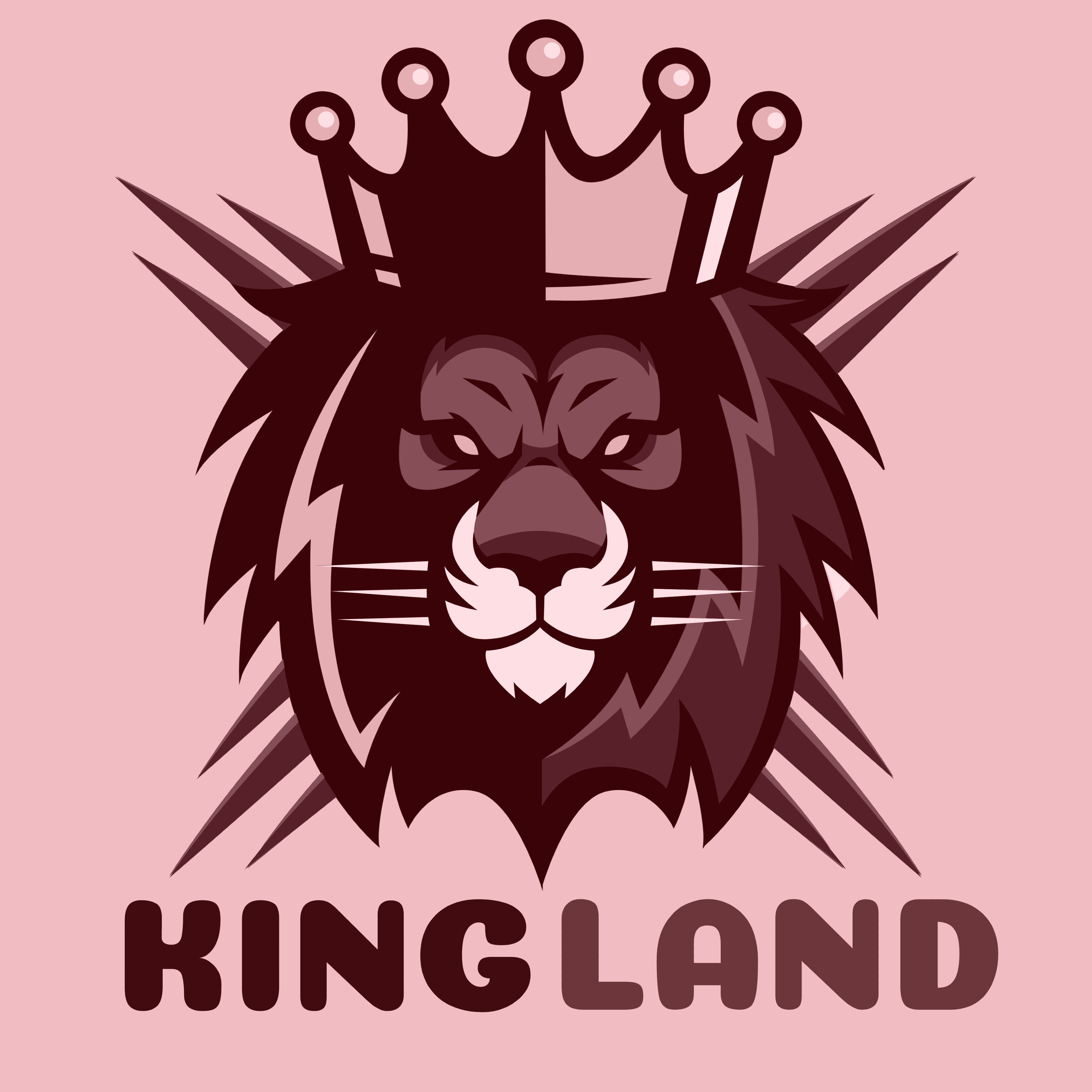 Kingland media 3