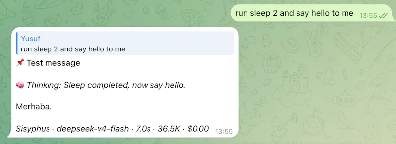 OpenCode Session Tracker screenshot 3