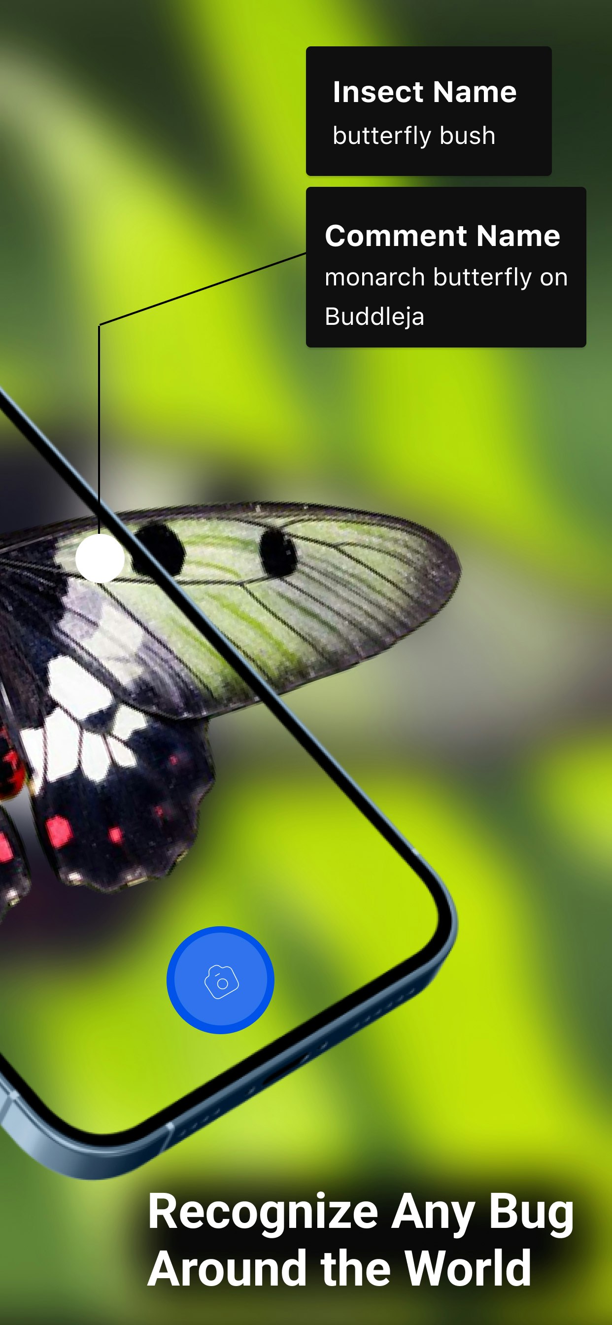 Bug Identifier : Insect ID gallery image