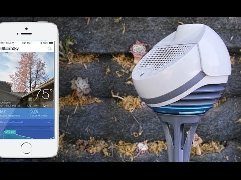 BloomSky gallery image