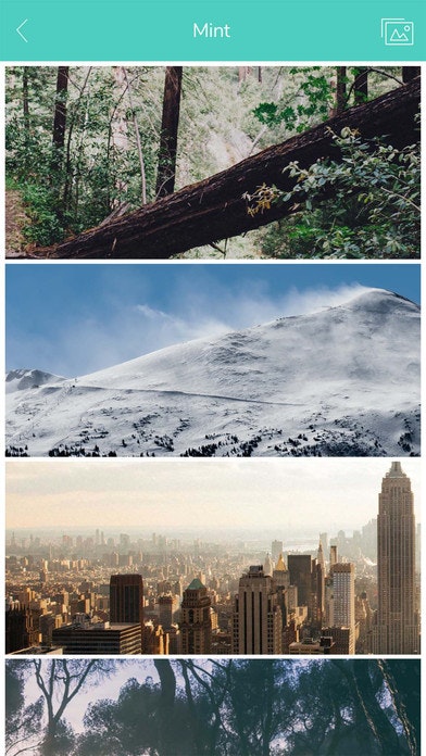 Gelato gallery image