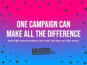 Build A Campaign 2020 gallery image